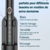 Sonic electric toothbrush