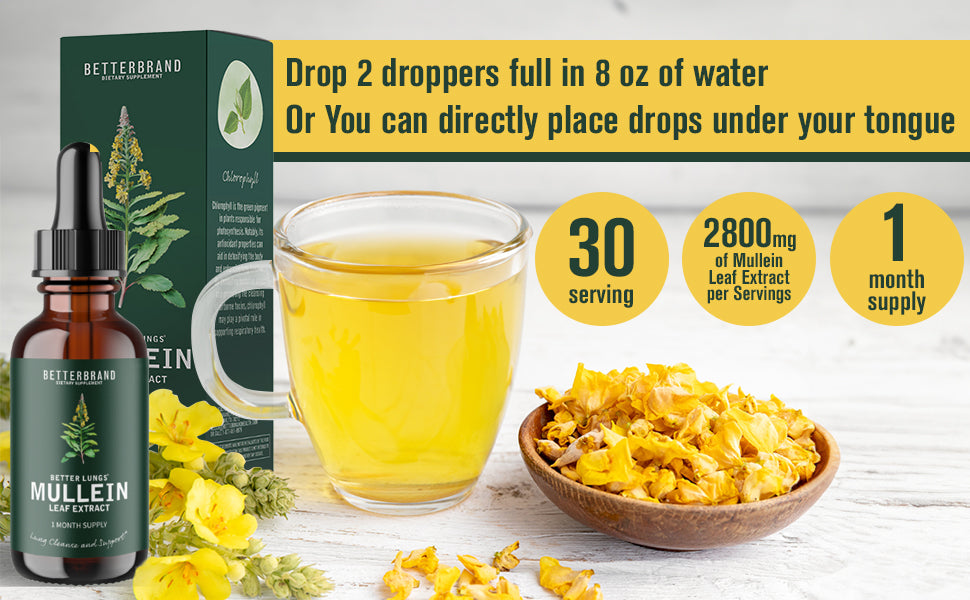 Extrait de feuille de molène BetterLungs