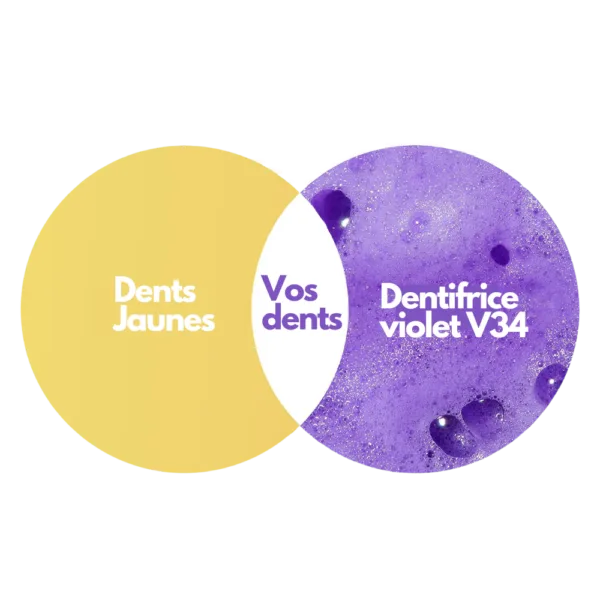 SmileKit® | Purple Toothpaste