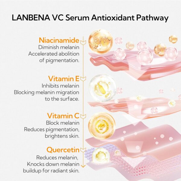 20% Vitamin C Serum For Face, Brightening Skin, Dark Spot Remover, Reduce Wrinkle, Anti Aging Glowing Serum, Facial Moisturizer with Niacinamide, Vitamin E, Hyaluronic Acid, 15 ML/ 0.51 Fl oz