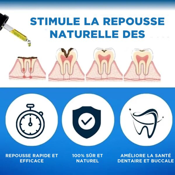 Shark Cartilage Protein Dental Regrowth Drops