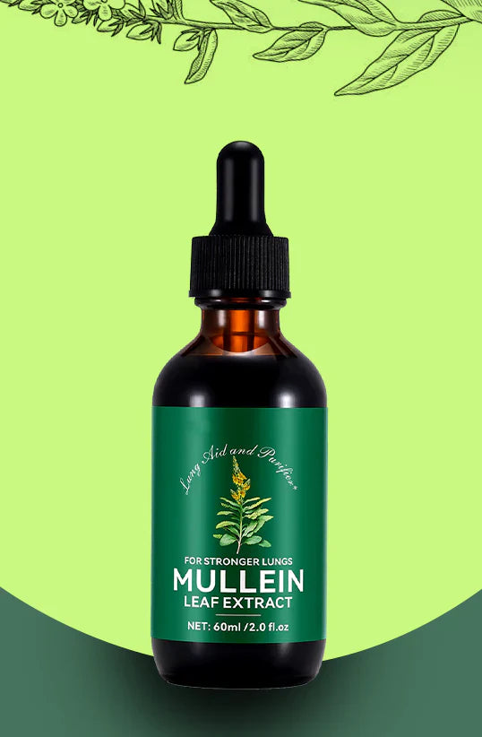 Mullein Leaf Extract