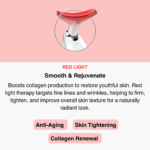 EMS Facial Massager